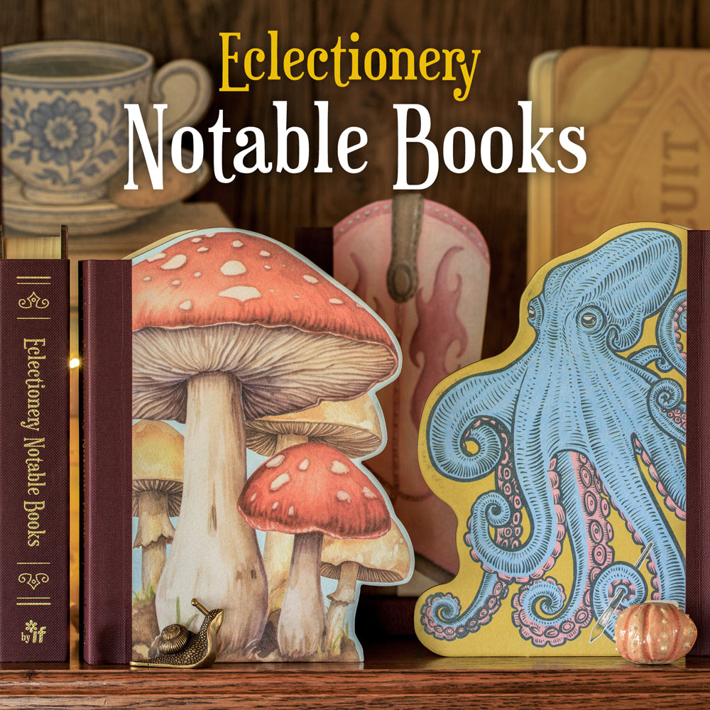 BUTTERFLY - ECLECTIONERY NOTABLE BOOKS -  from The Bookhouse Broughty Ferry- Just £19.99! Shop now