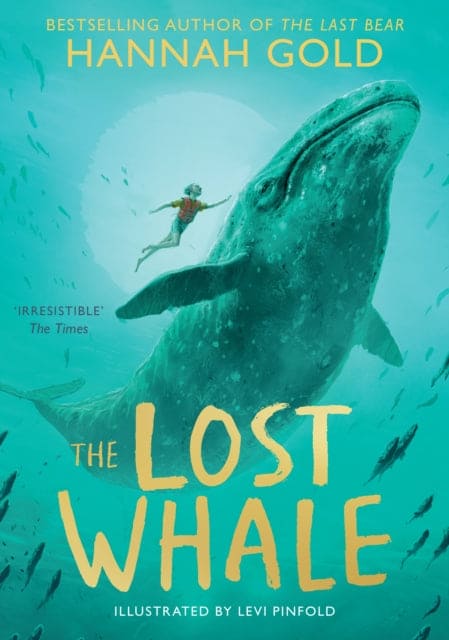 The Lost Whale - Book from The Bookhouse Broughty Ferry- Just £7.99! Shop now