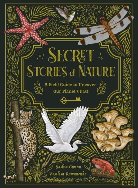 Secret Stories of Nature : A Field Guide to Uncover Our Planet's Past - Book from The Bookhouse Broughty Ferry- Just £14.99! Shop now