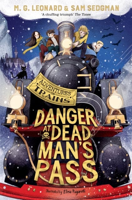 Danger at Dead Man's Pass - Book from The Bookhouse Broughty Ferry- Just £7.99! Shop now