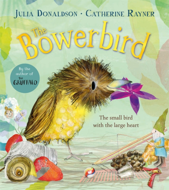 The Bowerbird - Book from The Bookhouse Broughty Ferry- Just £8.99! Shop now