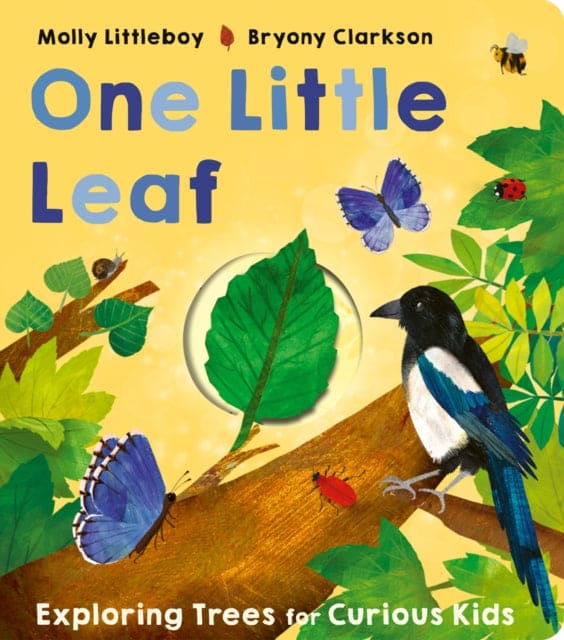One Little Leaf - Book from The Bookhouse Broughty Ferry- Just £9.99! Shop now