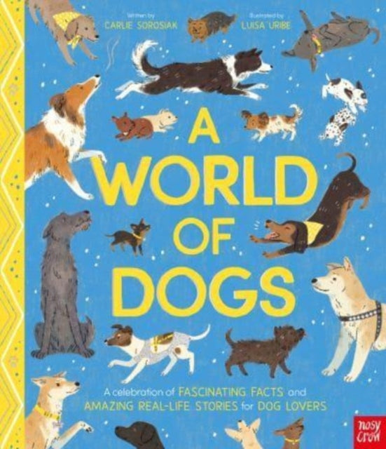 A World of Dogs : A Celebration of Fascinating Facts and Amazing Real-Life Stories for Dog Lovers - Book from The Bookhouse Broughty Ferry- Just £16.99! Shop now