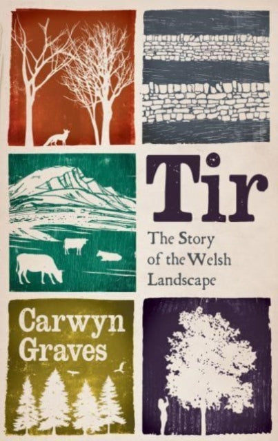 Tir - Book from The Bookhouse Broughty Ferry- Just £18.99! Shop now