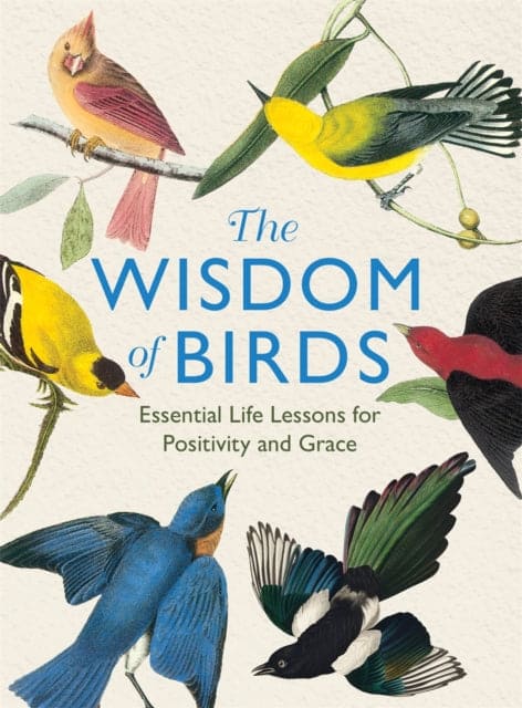 The Wisdom of Birds - Book from The Bookhouse Broughty Ferry- Just £10.99! Shop now